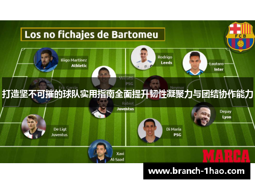 打造坚不可摧的球队实用指南全面提升韧性凝聚力与团结协作能力