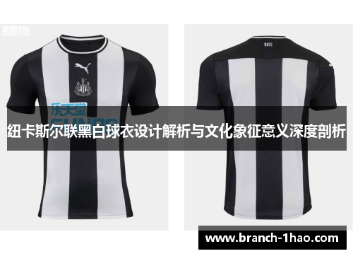 纽卡斯尔联黑白球衣设计解析与文化象征意义深度剖析