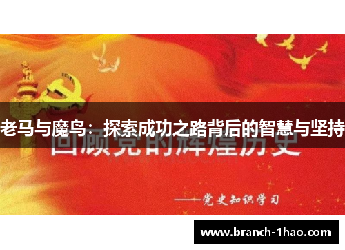 老马与魔鸟：探索成功之路背后的智慧与坚持