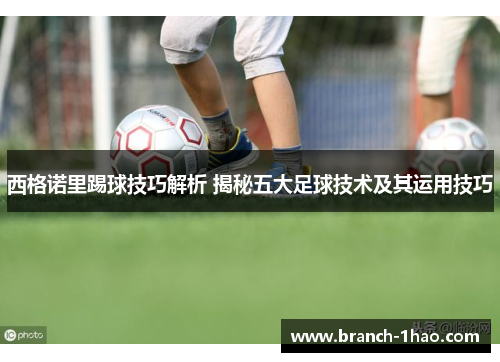 西格诺里踢球技巧解析 揭秘五大足球技术及其运用技巧 西格诺里踢球技巧解析 揭秘五大足球技术及其运用技巧