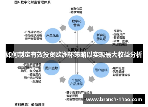 如何制定有效投资欧洲杯策略以实现最大收益分析 如何制定有效投资欧洲杯策略以实现最大收益分析