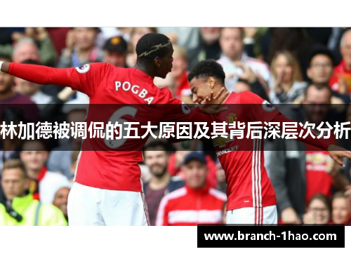 林加德被调侃的五大原因及其背后深层次分析 林加德被调侃的五大原因及其背后深层次分析