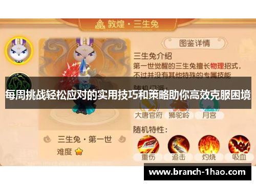 每周挑战轻松应对的实用技巧和策略助你高效克服困境 每周挑战轻松应对的实用技巧和策略助你高效克服困境