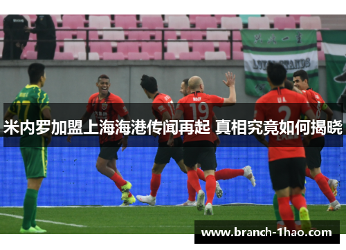 米内罗加盟上海海港传闻再起 真相究竟如何揭晓