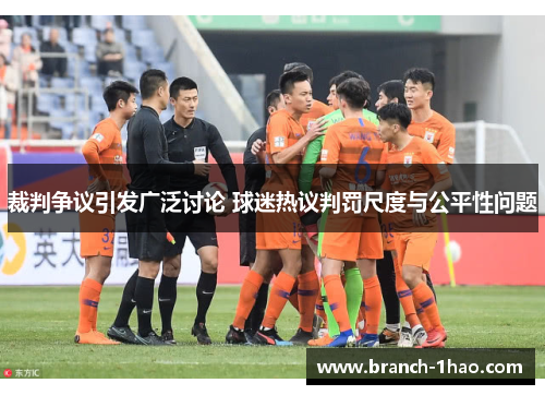 裁判争议引发广泛讨论 球迷热议判罚尺度与公平性问题