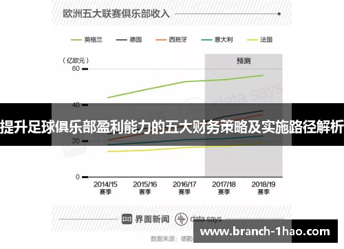 提升足球俱乐部盈利能力的五大财务策略及实施路径解析