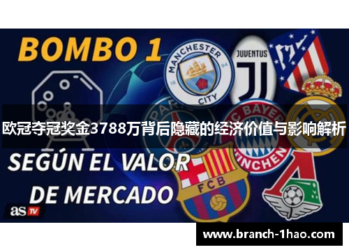 欧冠夺冠奖金3788万背后隐藏的经济价值与影响解析 欧冠夺冠奖金3788万背后隐藏的经济价值与影响解析