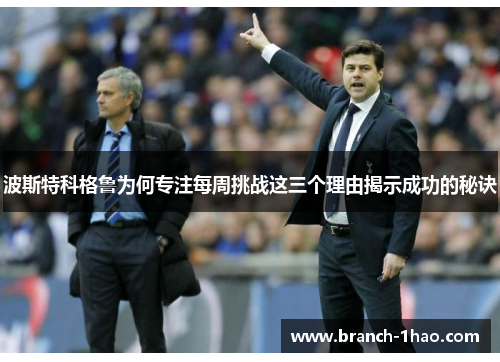 波斯特科格鲁为何专注每周挑战这三个理由揭示成功的秘诀