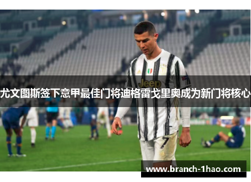 尤文图斯签下意甲最佳门将迪格雷戈里奥成为新门将核心