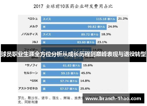 球员职业生涯全方位分析从成长历程到巅峰表现与退役转型
