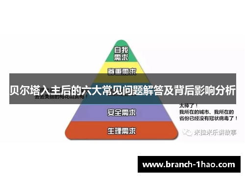 贝尔塔入主后的六大常见问题解答及背后影响分析 贝尔塔入主后的六大常见问题解答及背后影响分析